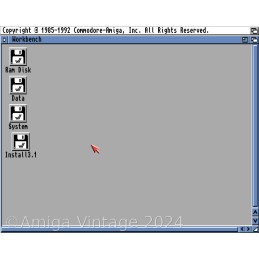4 GB CompactFlash Card Prepared for Amiga