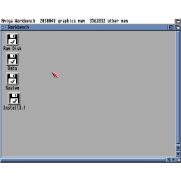 8 GB CompactFlash Card Prepared for Amiga