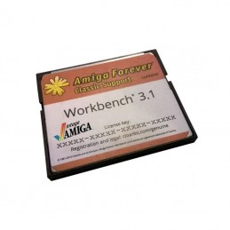 Workbench Système 3.1 sur 4GB Carte Cf pour Amiga 600 1200