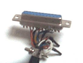 photo231.gif