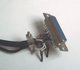 photo232.gif